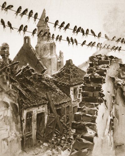 Soissons during the war: a congress of swallows discussing matters before migrating, illustration from 
